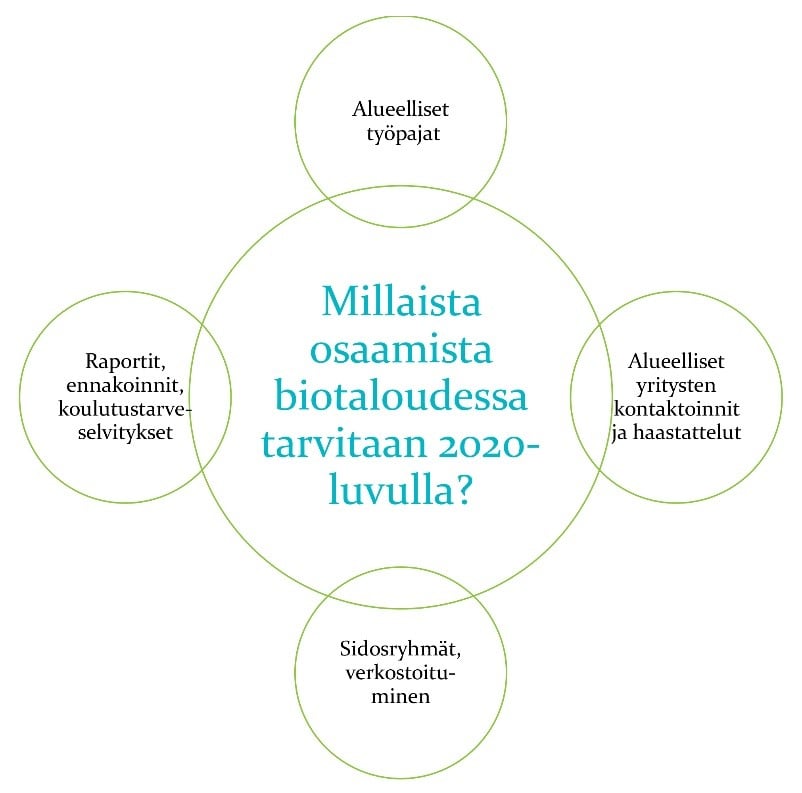 Kuvio jossa kuvattu keinot joilla biotalouden osaamistarpeita kartoitettiin: työpajat, yritysten haastattelut, sidosryhmät, raportit ja koulutustarveselvitykset