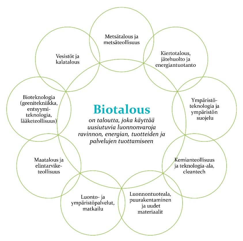 Kuviossa kuvattu biotalouden eri osa-alueita: metsätalous, kiertotalous ja jätehuolto, ympäristöteknologia, kemianteollisuus, luonto- ja ympäristöpalvelut, maatalous, bioteknologia, vesistöt