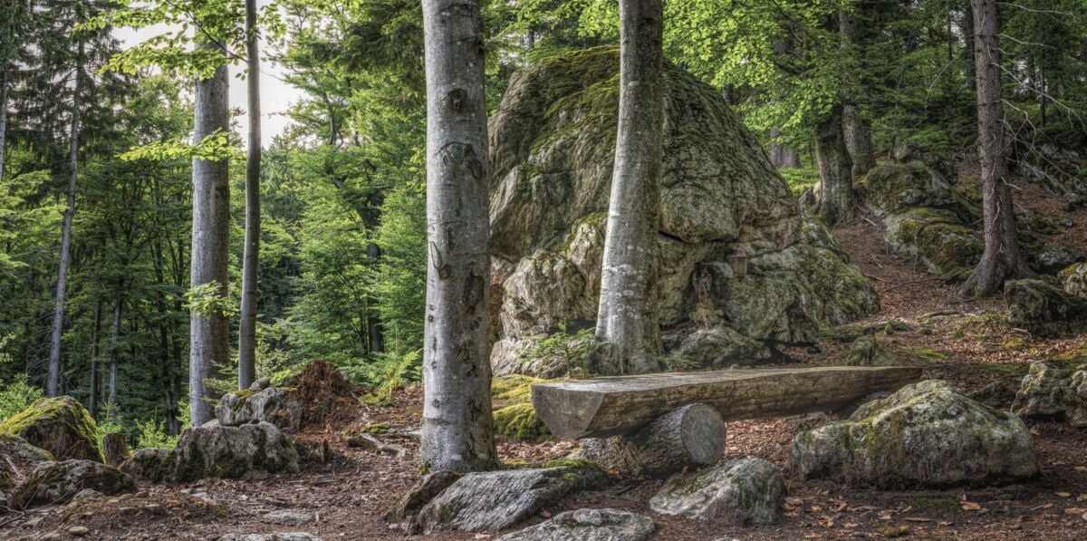 Metsämaisema jossa suuria kiviä, havumetsää, ja puusta tehty penkki.