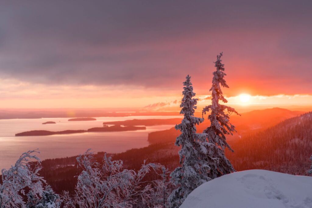 Luminen maisema Kolin kansallispuistosta