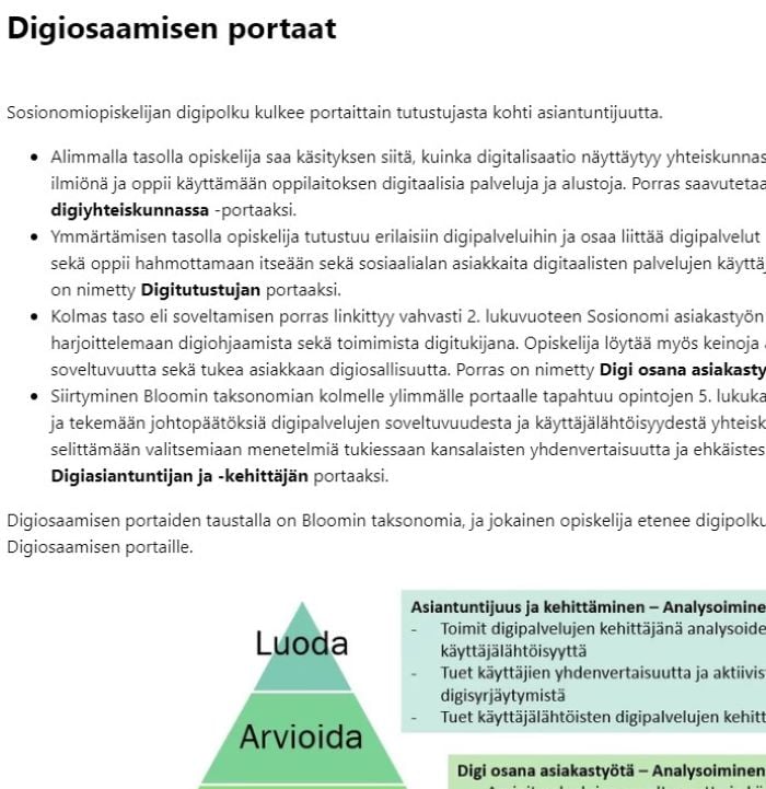 Digiosaamisen portaat